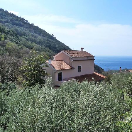 Casa Puccini B&B Maratea Eksteriør bilde