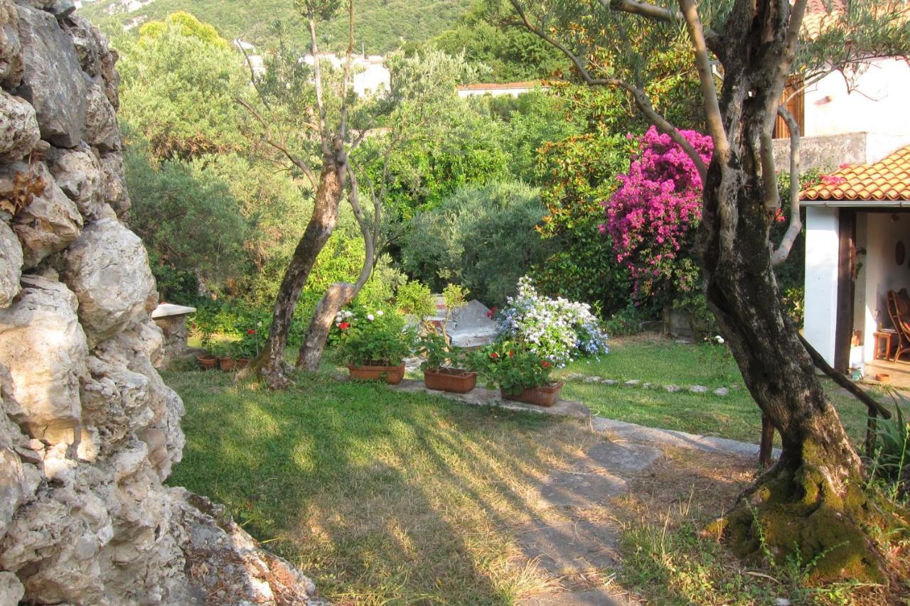 Casa Puccini B&B Maratea Eksteriør bilde