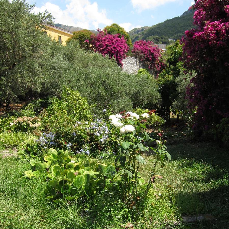 Casa Puccini B&B Maratea Eksteriør bilde