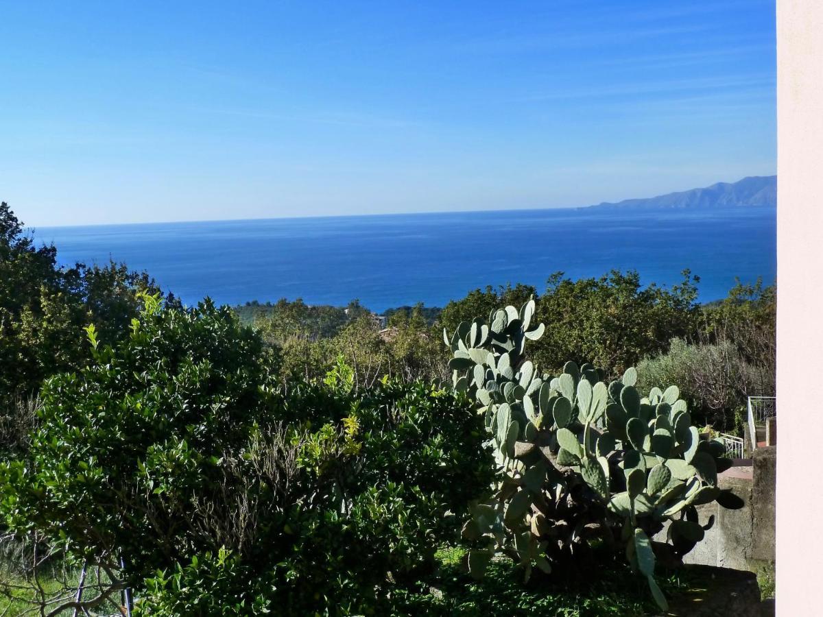 Casa Puccini B&B Maratea Eksteriør bilde