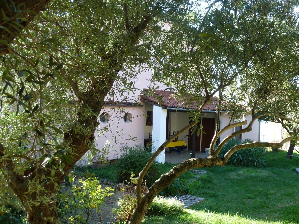 Casa Puccini B&B Maratea Eksteriør bilde
