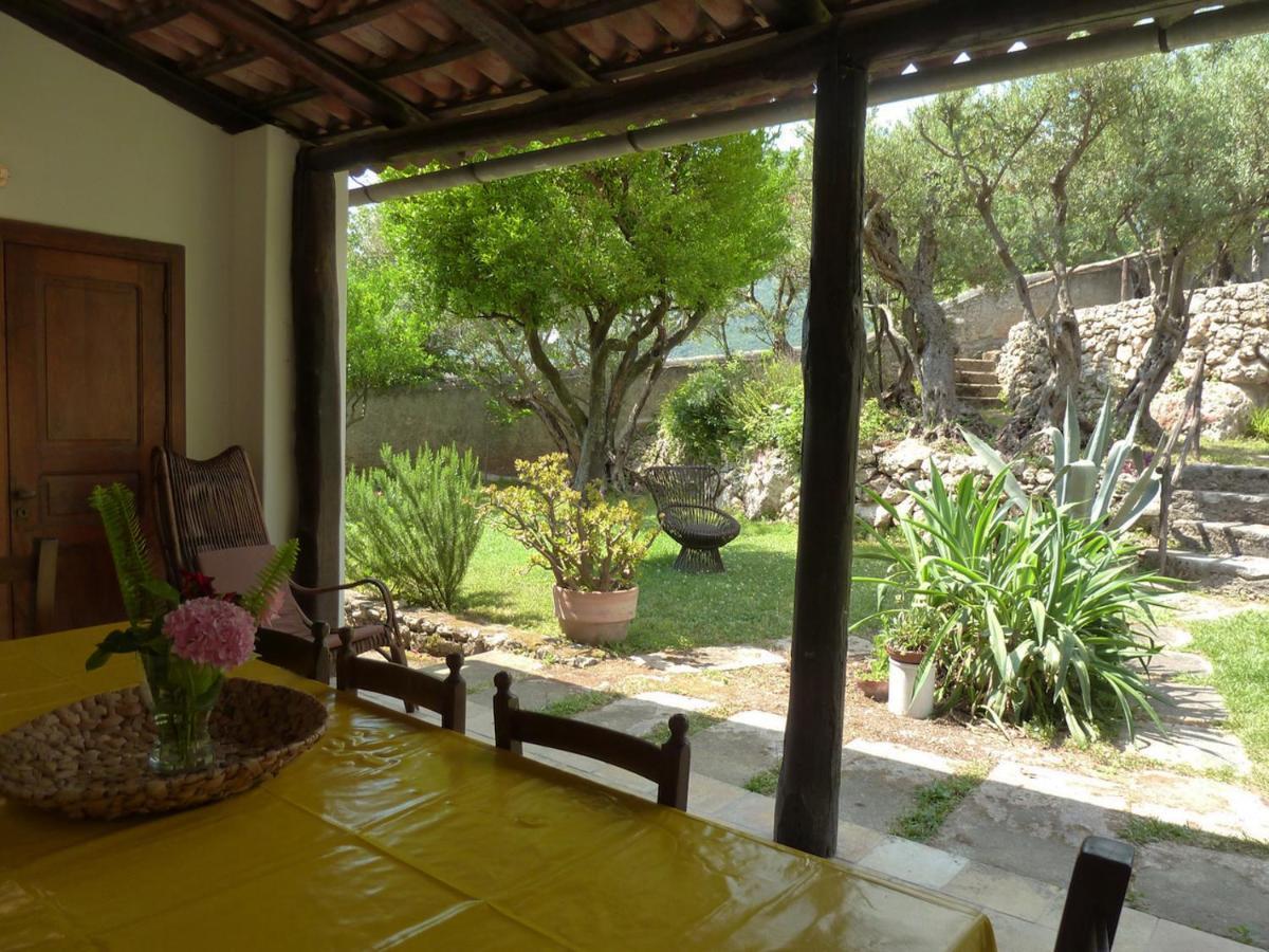 Casa Puccini B&B Maratea Eksteriør bilde